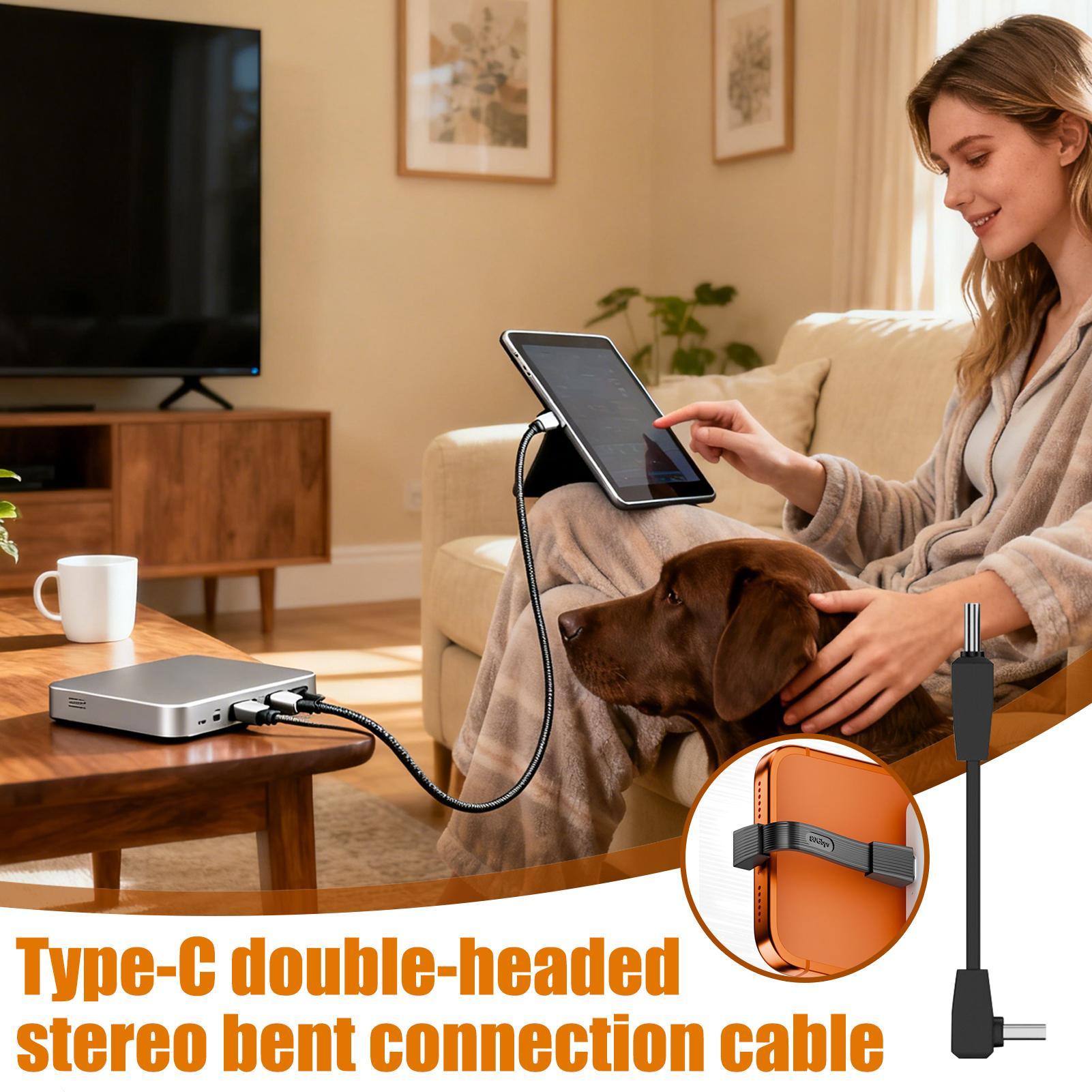 USB C 데이터 케이블 고속 타입-C 코드 80Gbp - Home Office Dictionary 리뷰 및 가격